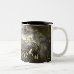 Amerikanischer Alligator Zweifarbige Tasse