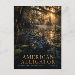Amerikanischer Alligator Zypressensumpf TIERE Postkarte