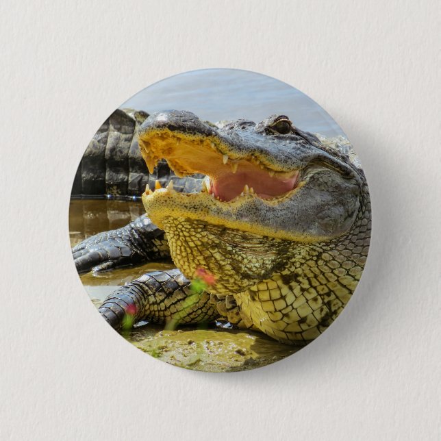 Amerikanischer Alligatorporträt - vertraulich Button (Vorderseite)