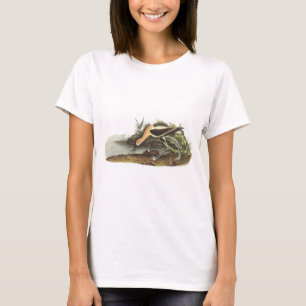Amerikanischer Avocet durch Audubon T-Shirt