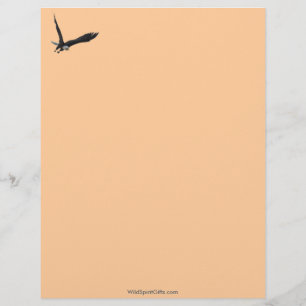 AMERIKANISCHER BALD EAGFL Letterhead Design Briefkopf