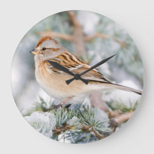Amerikanischer Baumspatz im Winter Große Wanduhr