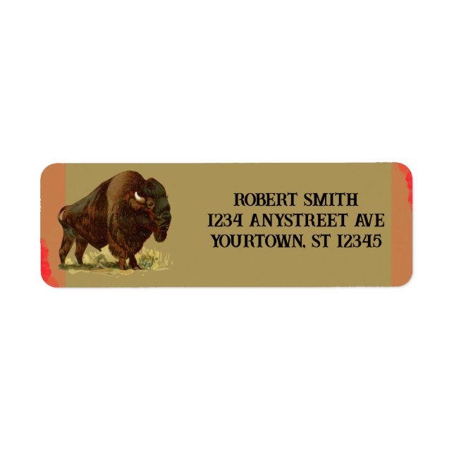 Amerikanischer Bison (Vorne)