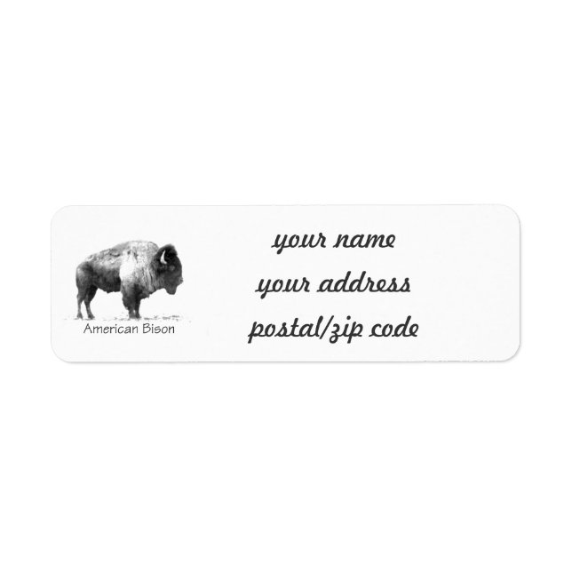 Amerikanischer Bison (Vorne)
