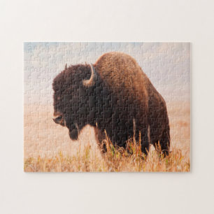Amerikanischer Bison (Bison Bison) Herde In Teton Puzzle