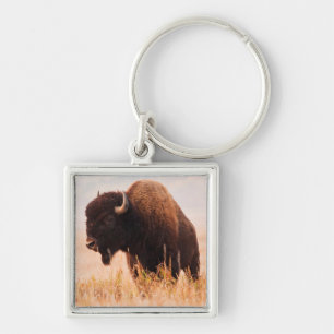 Amerikanischer Bison (Bison Bison) -Herde in Teton Schlüsselanhänger