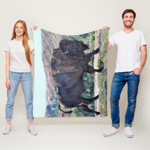 Amerikanischer Bison, der in einer Graslandschaft Fleecedecke