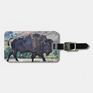 Amerikanischer Bison, der in einer Graslandschaft  Gepäckanhänger