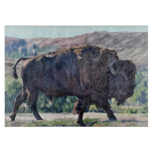 Amerikanischer Bison, der in einer Graslandschaft  Schneidebrett