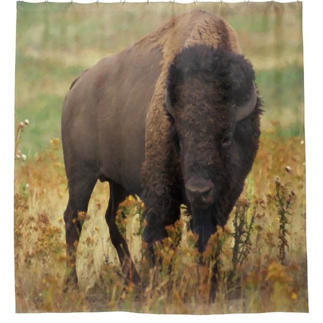 Amerikanischer Bison-Duschvorhang Duschvorhang (Vorderseite)