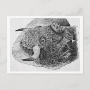 Amerikanischer Bison Feiertagspostkarte
