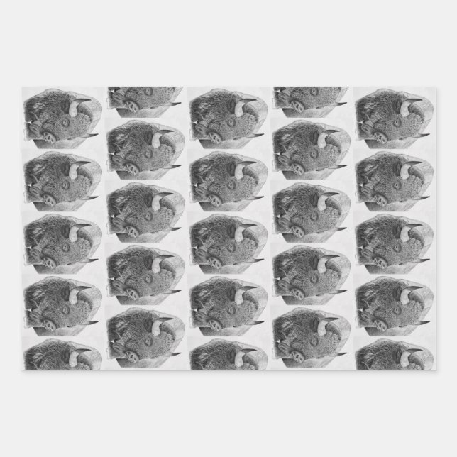 Amerikanischer Bison Geschenkpapier Set (Vorderseite)