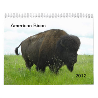 Amerikanischer Bison Kalender