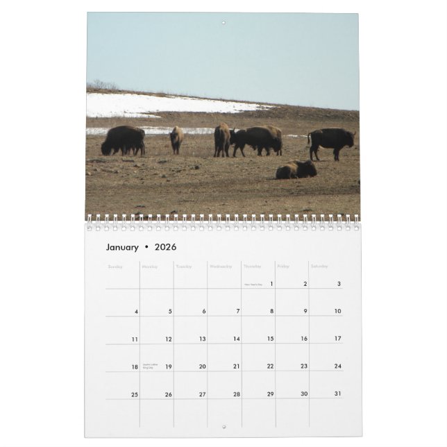 Amerikanischer Bison Kalender (Jan 2026)