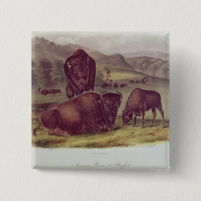 Amerikanischer Bison oder Büffel Button (Vorderseite)