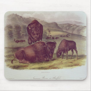 Amerikanischer Bison oder Büffel Mousepad