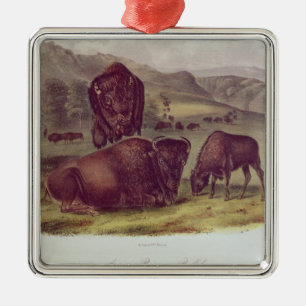Amerikanischer Bison oder Büffel Ornament Aus Metall