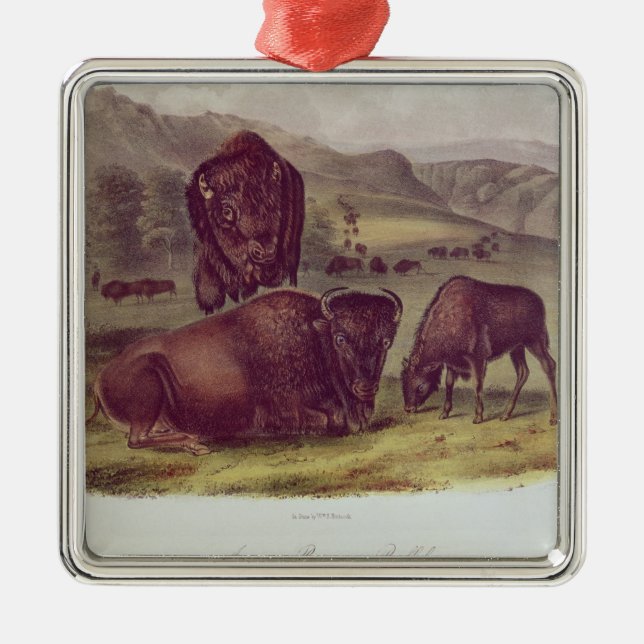 Amerikanischer Bison oder Büffel Ornament Aus Metall (Vorne)