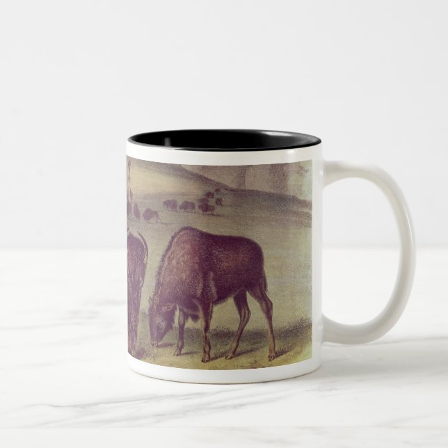 Amerikanischer Bison oder Büffel Zweifarbige Tasse (Rechts)