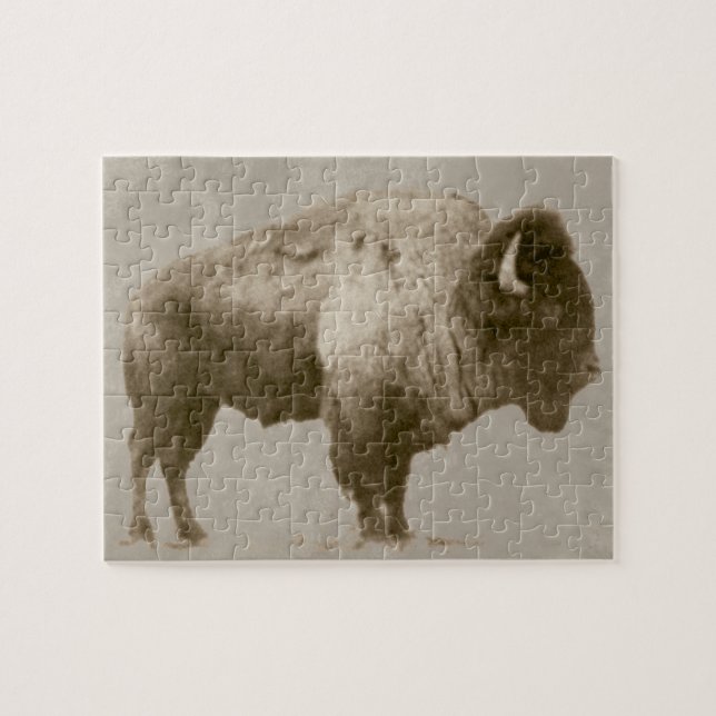 Amerikanischer Bison Puzzle (Horizontal)