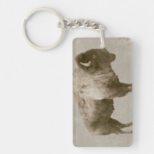 Amerikanischer Bison Schlüsselanhänger