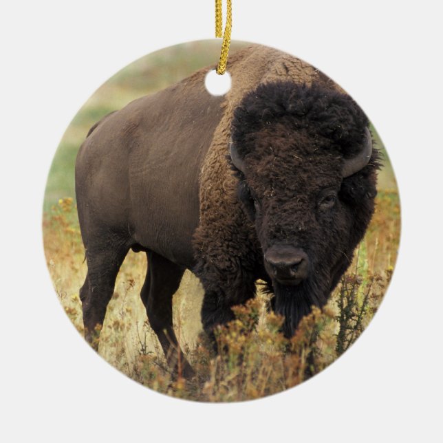 Amerikanischer Bison-Verzierung Keramikornament (Vorne)