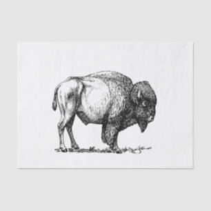 Amerikanischer Büffel-Bison Seidenpapier