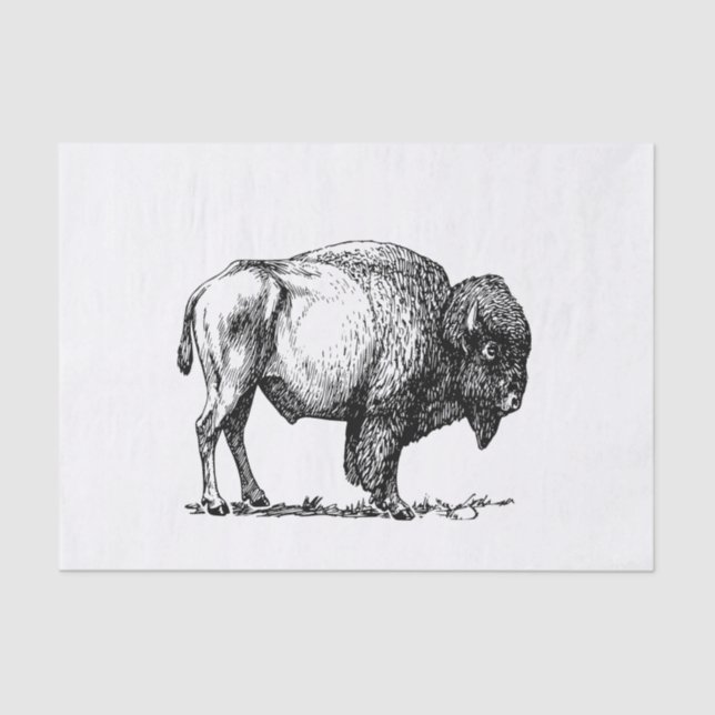 Amerikanischer Büffel-Bison Seidenpapier (Vorderseite)