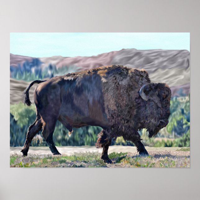 Amerikanischer Büffelbison Poster (Vorne)