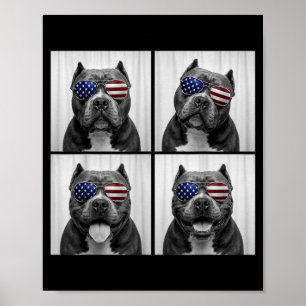 Amerikanischer Bully 4. Juli Amerikanische Flagge Poster