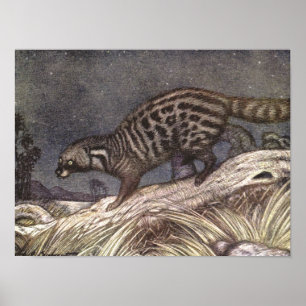Amerikanischer Civetkatze von Louis Sargent, Vinta Poster