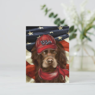 Amerikanischer Cocker Spaniel Postkarte