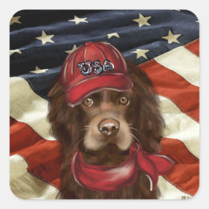 Amerikanischer Cocker Spaniel Quadratischer Aufkleber