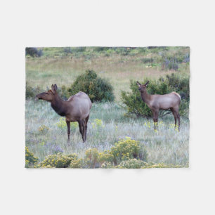 Amerikanischer Elk   Colorado Fleecedecke