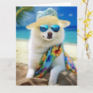 Amerikanischer Eskimo am Strand, Sommergeschenk fü Karte
