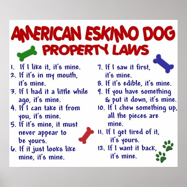 AMERIKANISCHER ESKIMO-DOG PL2 POSTER (Vorne)