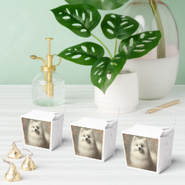 Amerikanischer Eskimo-Hund Geschenkschachtel