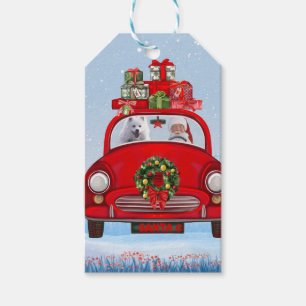 Amerikanischer Eskimo Hund in Auto mit dem Weihnac Geschenkanhänger