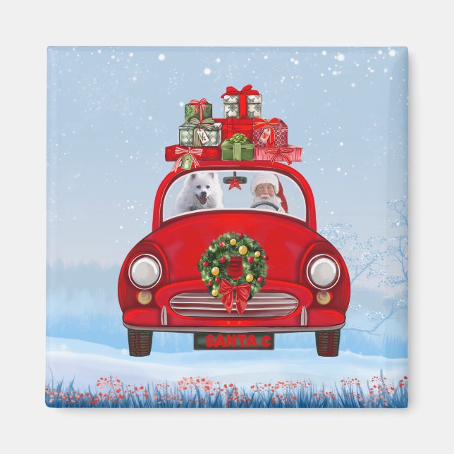 Amerikanischer Eskimo Hund in Auto mit dem Weihnac Magnet (Vorne)