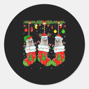 Amerikanischer Eskimo-Hund in Weihnachts-Socken Lu Runder Aufkleber