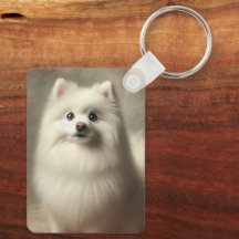 Amerikanischer Eskimo-Hund