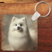 Amerikanischer Eskimo-Hund