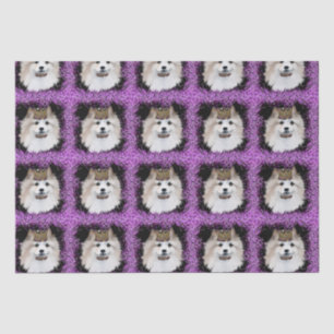 Amerikanischer Eskimo-Hund Seidenpapier