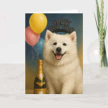 Amerikanischer Eskimo Papi Happy New Year
