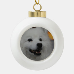 Amerikanischer Eskimohund Keramik Kugel-Ornament