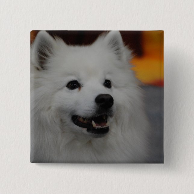 Amerikanischer Eskimohundeknopf Button (Vorderseite)