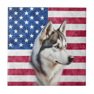 Amerikanischer Flaggenrand Collie Hund Haustiere Fliese