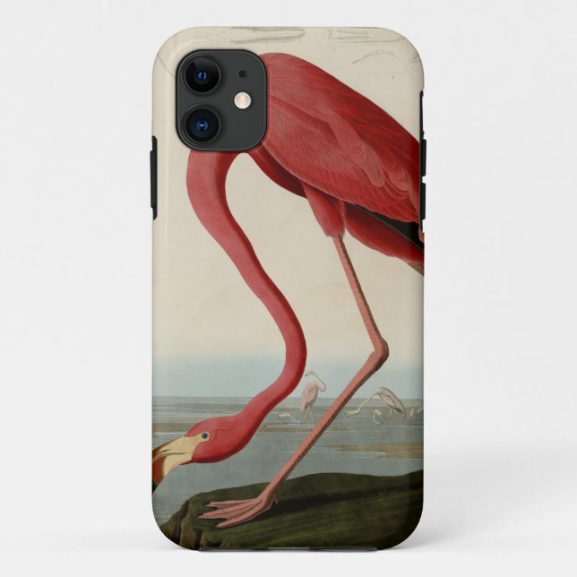 Amerikanischer Flamingo Case-Mate iPhone Hülle (Rückseite)