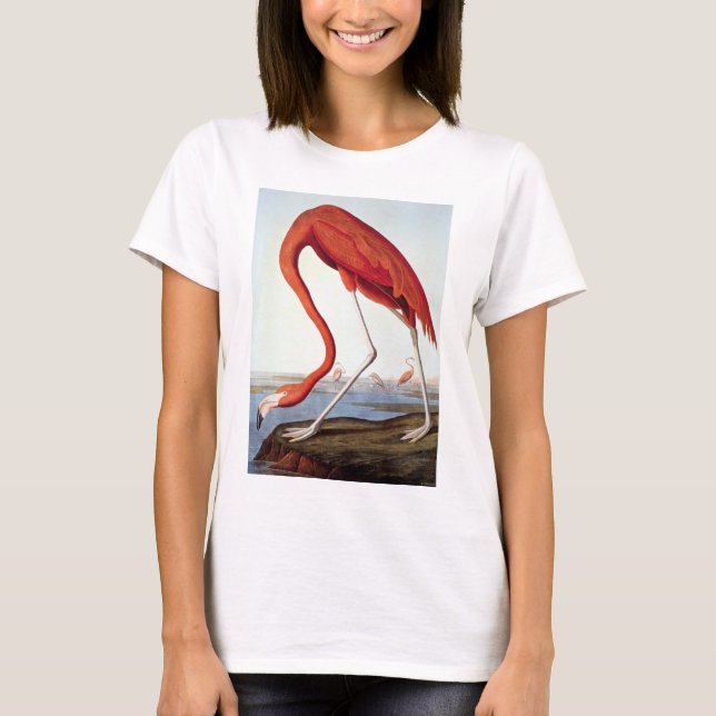 Amerikanischer Flamingo T-Shirt (Vorderseite)