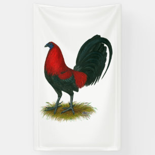 Amerikanischer Gamecock: Braunrot Banner